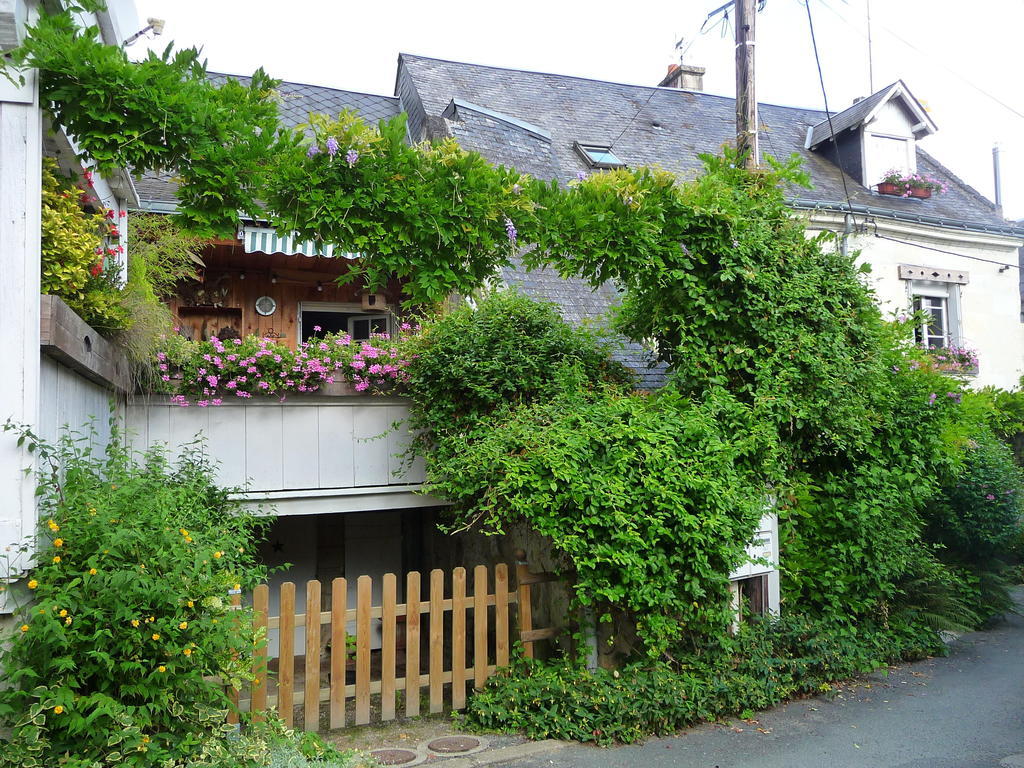 Escale De Loire Bed & Breakfast Chouzé-sur-Loire Exterior photo