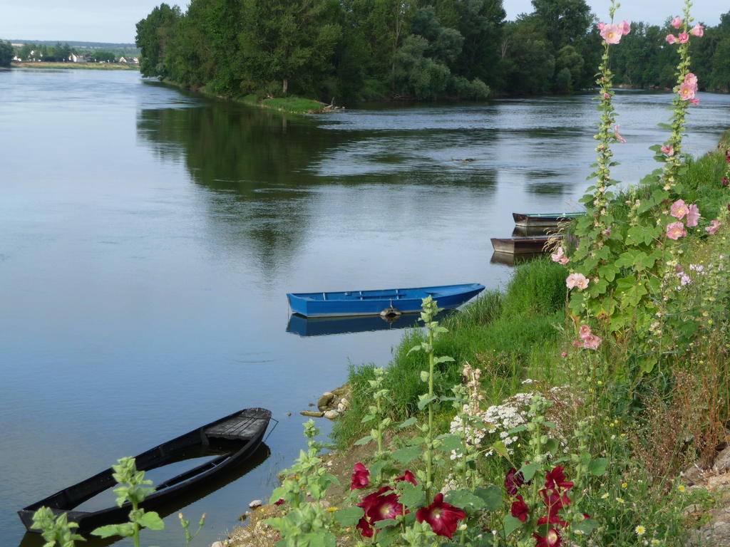 Escale De Loire Bed & Breakfast Chouzé-sur-Loire Exterior photo